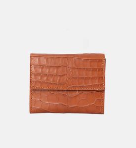 Camille Fournet Alligator Calfskin Matte Coin Purse, Brown, Packshot View