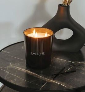 Lalique Candle 600 G Figuier, Packshot View