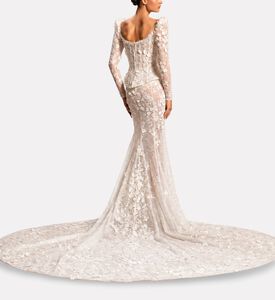 Michael Cinco Corset Long-sleeve Lace Gown, Model View
