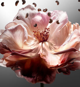 Kilian Paris Edp Her Majesty Ref, Packshot View