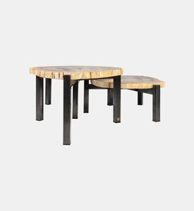 مجموعة طاولة القهوة من الخشب الصلب المتحجر