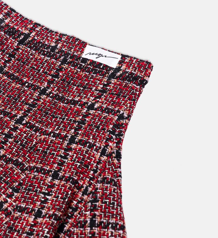 Plaid-embroidery Flared Mini Skirt