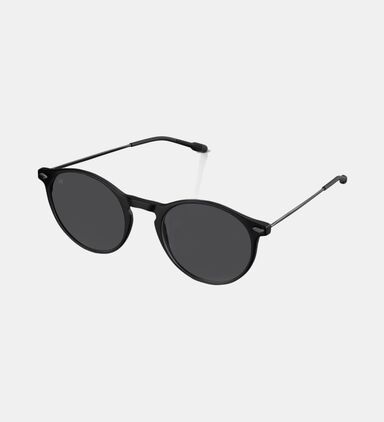 Sun Dino Oval Glasses