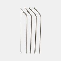 Stainless Steel Straws 4-pieces Set