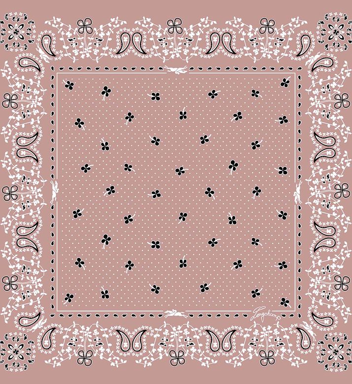 Silk Paisley Pattern Scarf