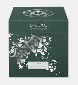 Lalique Candle Vase 750g Taiga, Packshot View