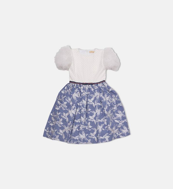Floral Embroidered Puff Sleeve Dress