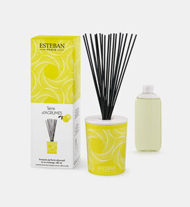 Terre D Agrumes Scented Bouquet