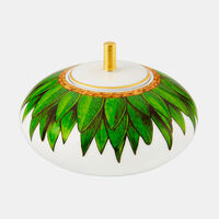 Amazonia Sugar Box