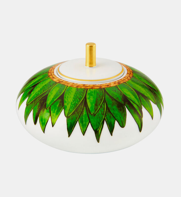 Amazonia Sugar Box