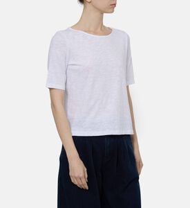 Ba and Sh Ts Vina, Model View