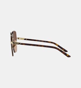 نظارة سداسية بنقشة تورتويز شيل 58