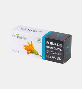 فراولة حمراء برية