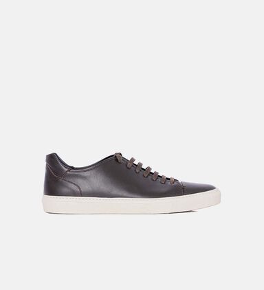 Low Top Lace-up Sneakers