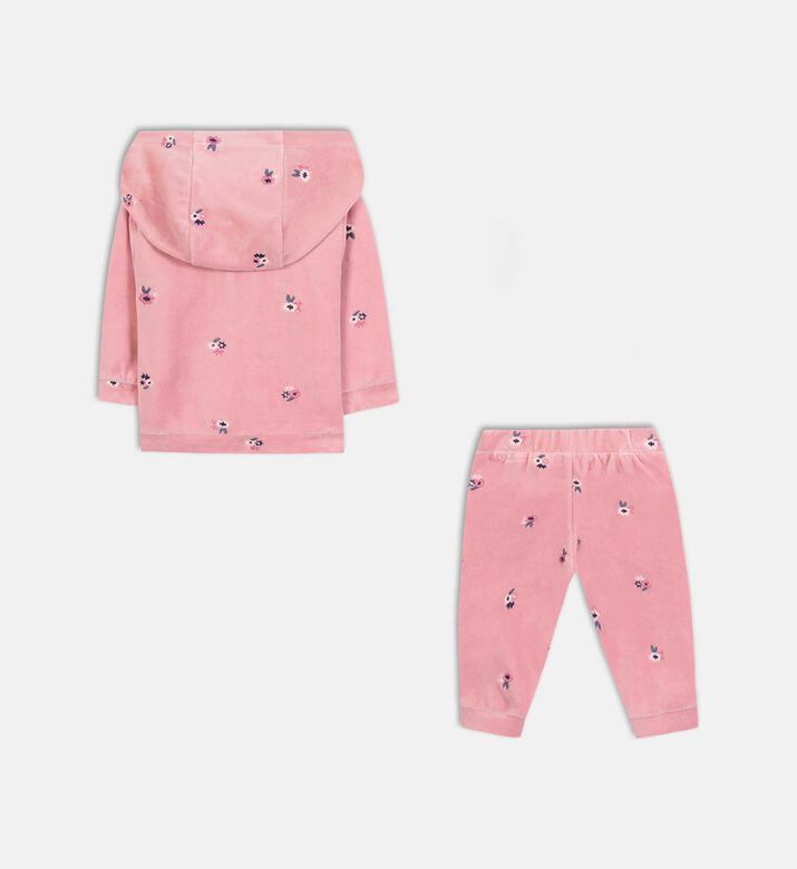 Velvet Floral-embroidery Set