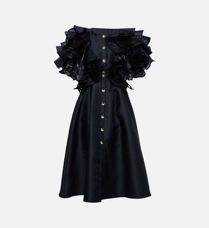 Sheer Applique Overlay Dress