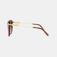 Cat-eye Tortoiseshell Pattern Sunglasses 55