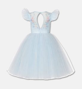 Lelyte Floral-embroidery Sheer Lace Dress, Packshot View