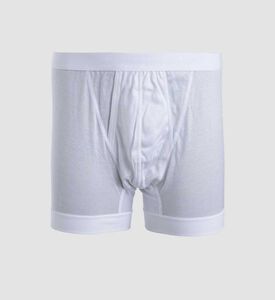 الملاكم الملكي الكلاسيكي المفتوح