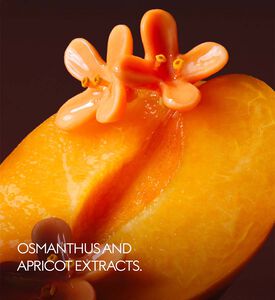 Gucci Beauty Osmanthus Nectar Eau De Parfum, Packshot View Gucci Beauty Osmanthus Nectar Eau De Parfum, Packshot View