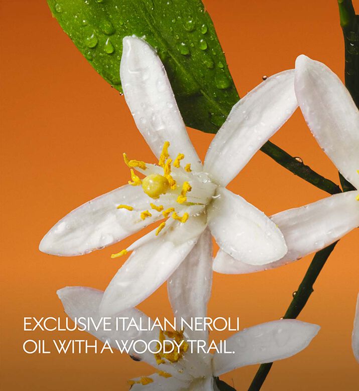 Gucci Beauty Fiori Di Neroli Eau De Parfum, Packshot View