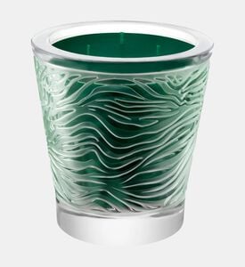 Lalique Candle Vase 750g Taiga, Packshot View
