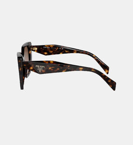 نظارة كات آي بعدسات متدرّجة 55