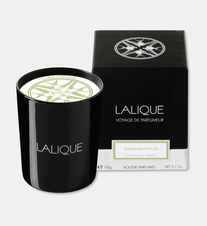 Lalique Candle 190g Osmanthus, Packshot View