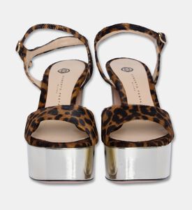 Roberto Festa Shoes Addis, Packshot View