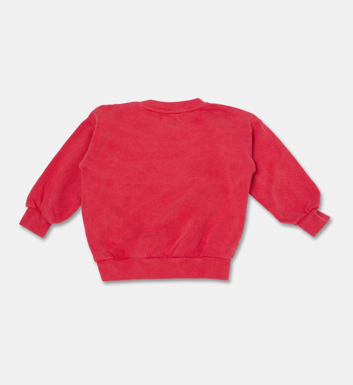 Bobo Choses Sweatsh Lake, Packshot View