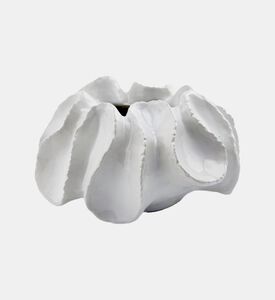 مزهرية شقرا عصارية