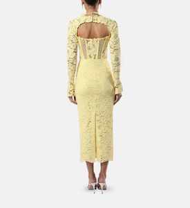 Dantelle Choker Corset Midi Dress Dantelle Choker Corset Midi Dress