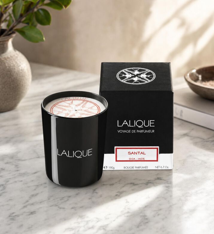 Lalique Goa Santal Scented Candle, Model View
