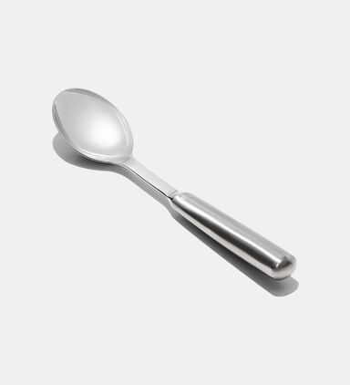 Stainless Steel Serving Spoon