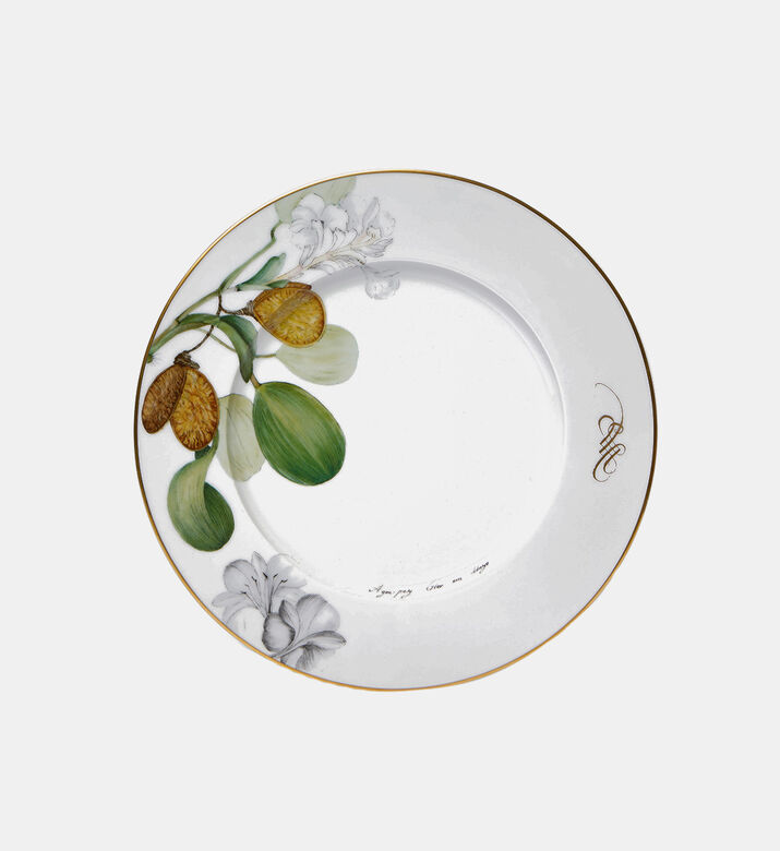 Amazonia Dinner Plate