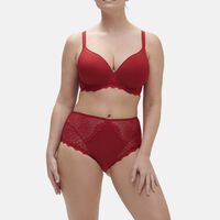 Caresse Embroidered Retro Brief
