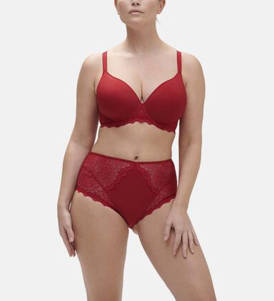 Caresse Embroidered Retro Brief