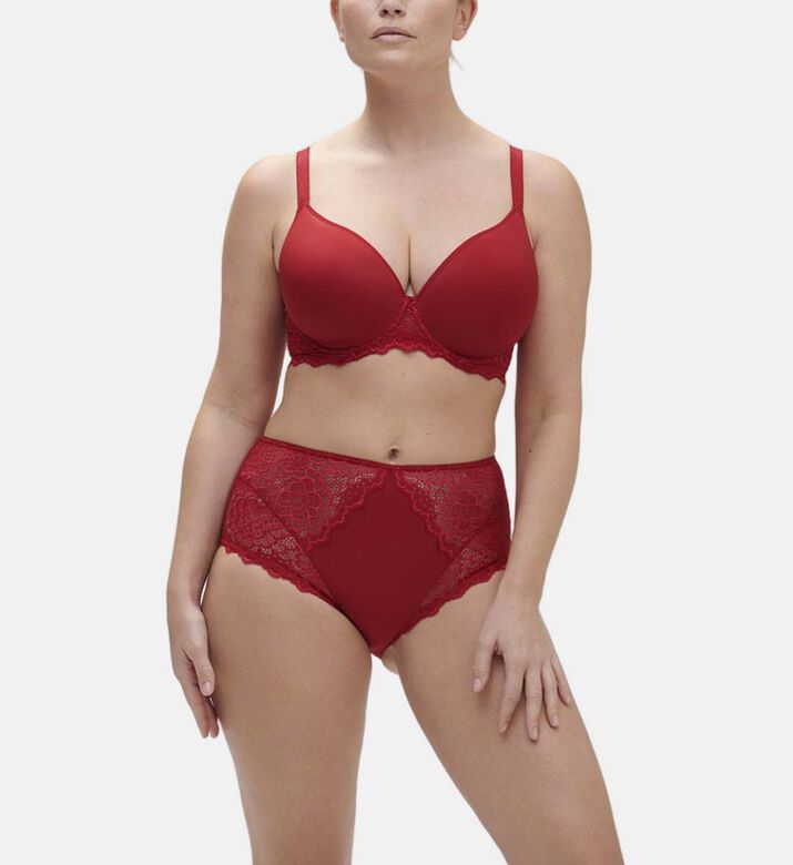 Caresse Embroidered Retro Brief