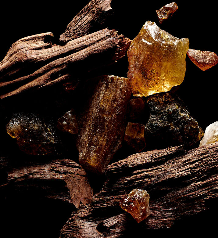 Sacred Wood Eau De Parfum 100 Ml