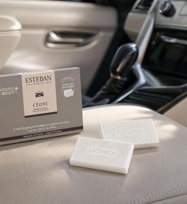 Esteban Paris Cedre Scented 2-piece Car Diffusers Set, Model View