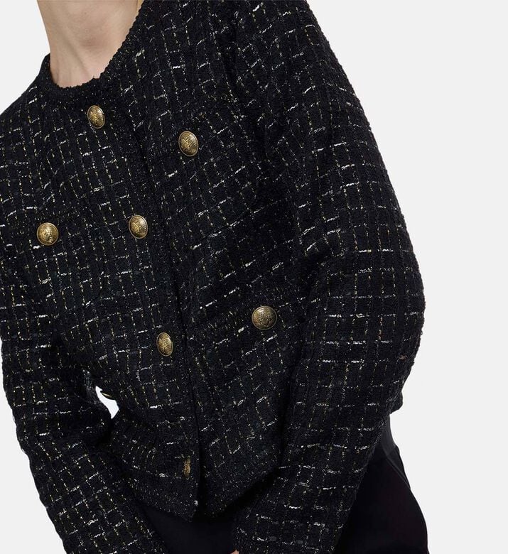 Weill Tweed Button-down Regular-fit Jacket, Model View