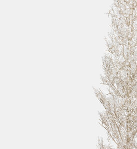 Crystal Diamond-embellished Tree Crystal Diamond-embellished Tree