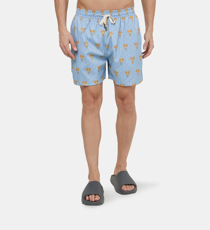 سروال سباحة بالما 2 بقصة كلاسيكية سروال سباحة بالما 2 بقصة كلاسيكية