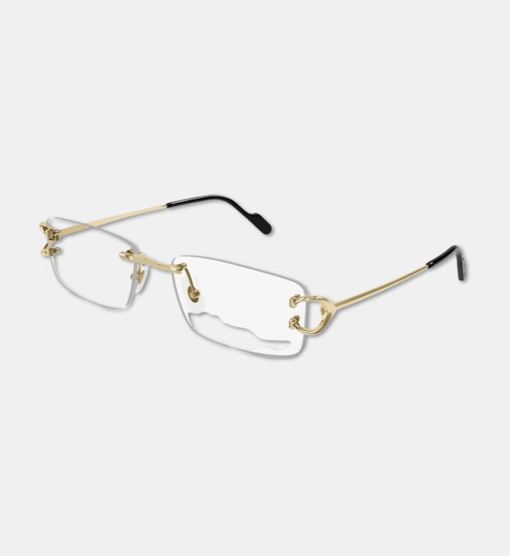 Cartier Sunglass, Packshot View