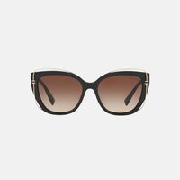 Acetate Cat-eye Shape Sunglasses 54