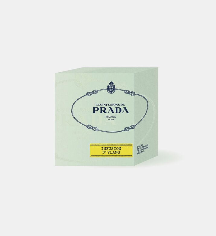 Infusion D Ylang Scented Candle Infusion D Ylang Scented Candle