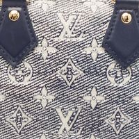 Louis Vuitton Monoglam Speedy Bandouliere Embroidered Bag Preowned