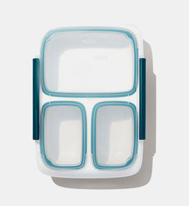 حاوية بلاستيكية مقسمة