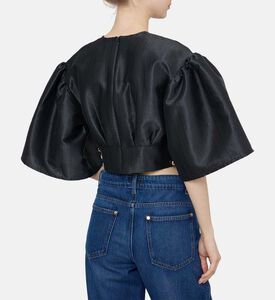 Puffy Sleeves Fitted Top