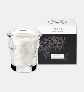 Lalique Cndle Vase 750g Oceans, Packshot View